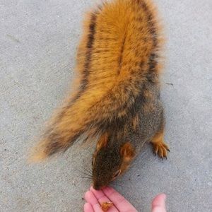 Meet your Posher, Olivia